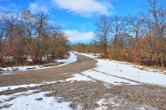 Free Winter Snow photo and picture
