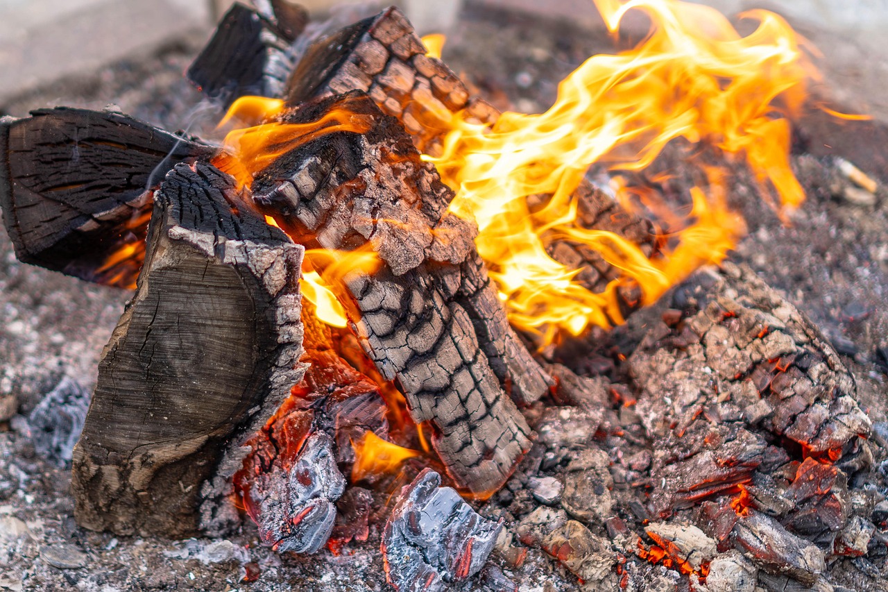 Fire Warm Flame Free photo on Pixabay Pixabay
