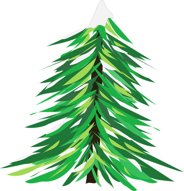 Spar, Kerstmis, Woud, Green, Boom