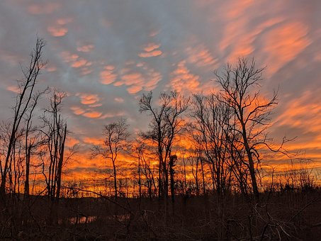 Free Flow Sunset photo and picture