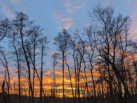Free Flow Sunset photo and picture