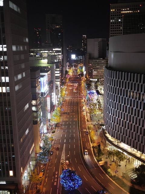 Free Osaka Night Night photo and picture