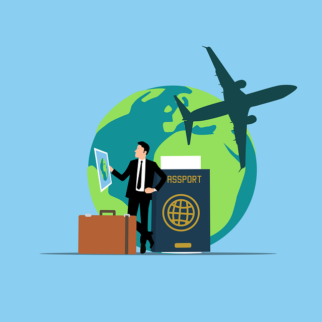 Free traveler passport plane vector