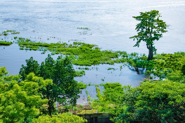 Rio, Natureza, Paisagem, A Água