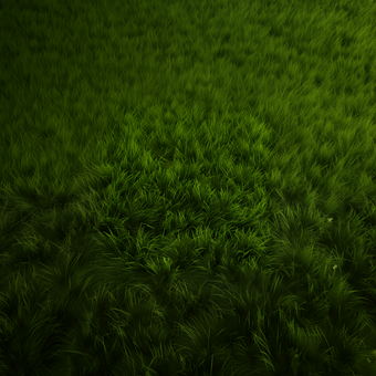 Textura, Hierba, Prairie, Verde, Césped