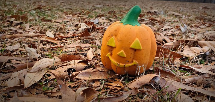 Free Fall Pumpkin photo and picture