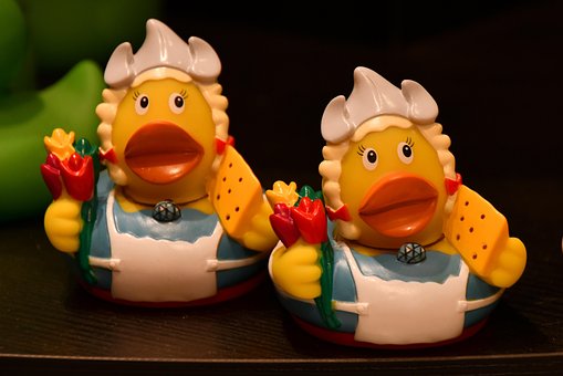 Free Squeaky Duck Duck photo and picture