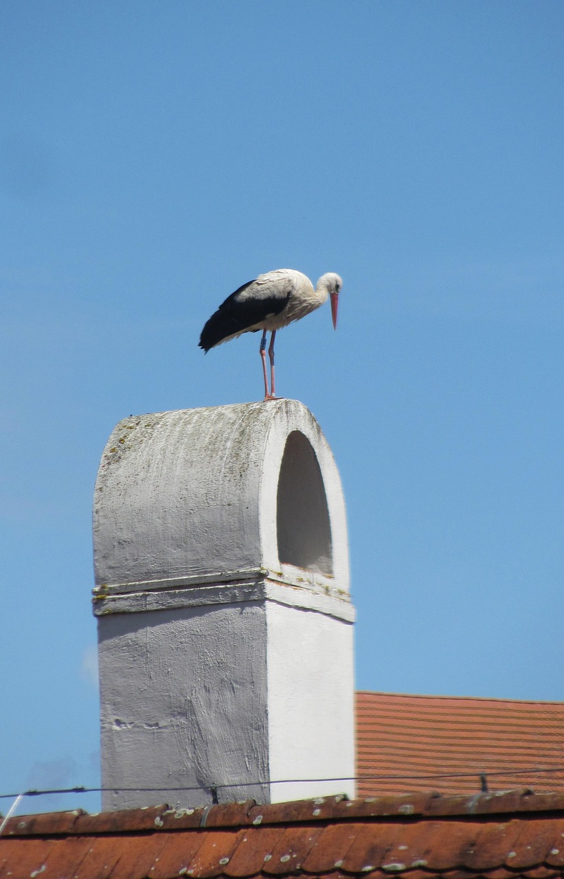 Cigüeña Chimenea Techo - Foto gratis en Pixabay - Pixabay