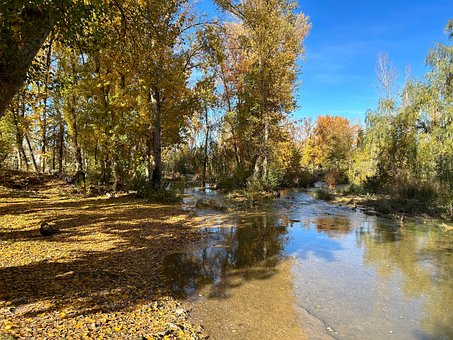 Free River Play photo and picture