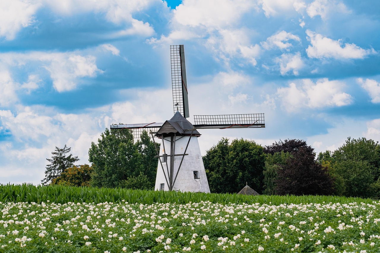Windmill - free online jigsaw puzzle photo