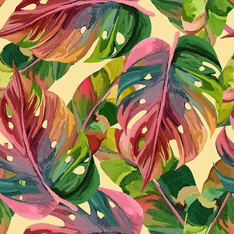 Monstera Pflanze Bltter - Kostenlose Vektorgrafik auf Pixabay