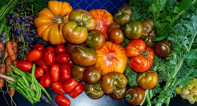 Tomaten, Pfeffer, Grünkohl, Ernte