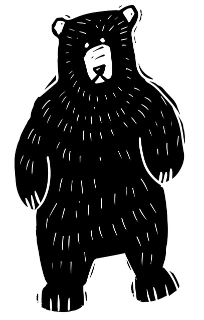 Negru, Urs, Animal, Linietură