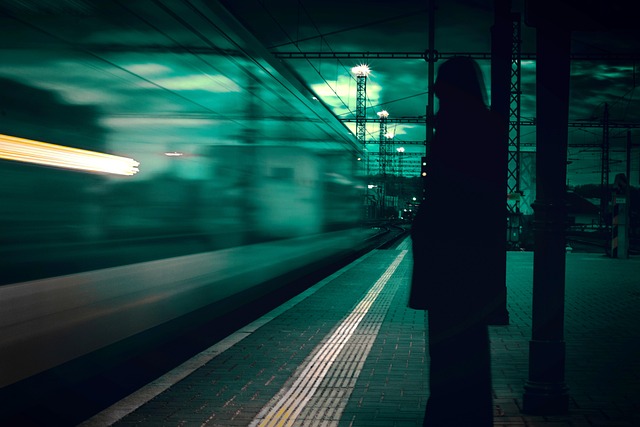 Reiziger, Manier, Trein, Apocalypse