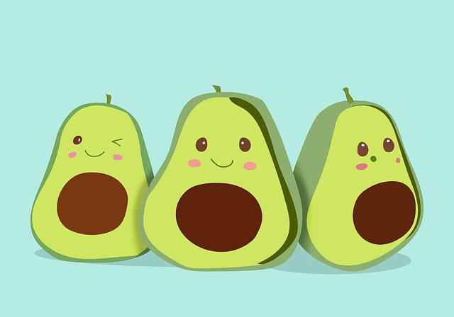 Download free HD stock image of Avocado Fruits Free avocado fruits healthy illustration