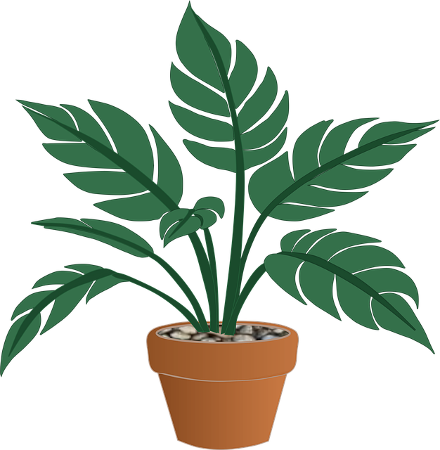 Free Plant Nature vector and picture
