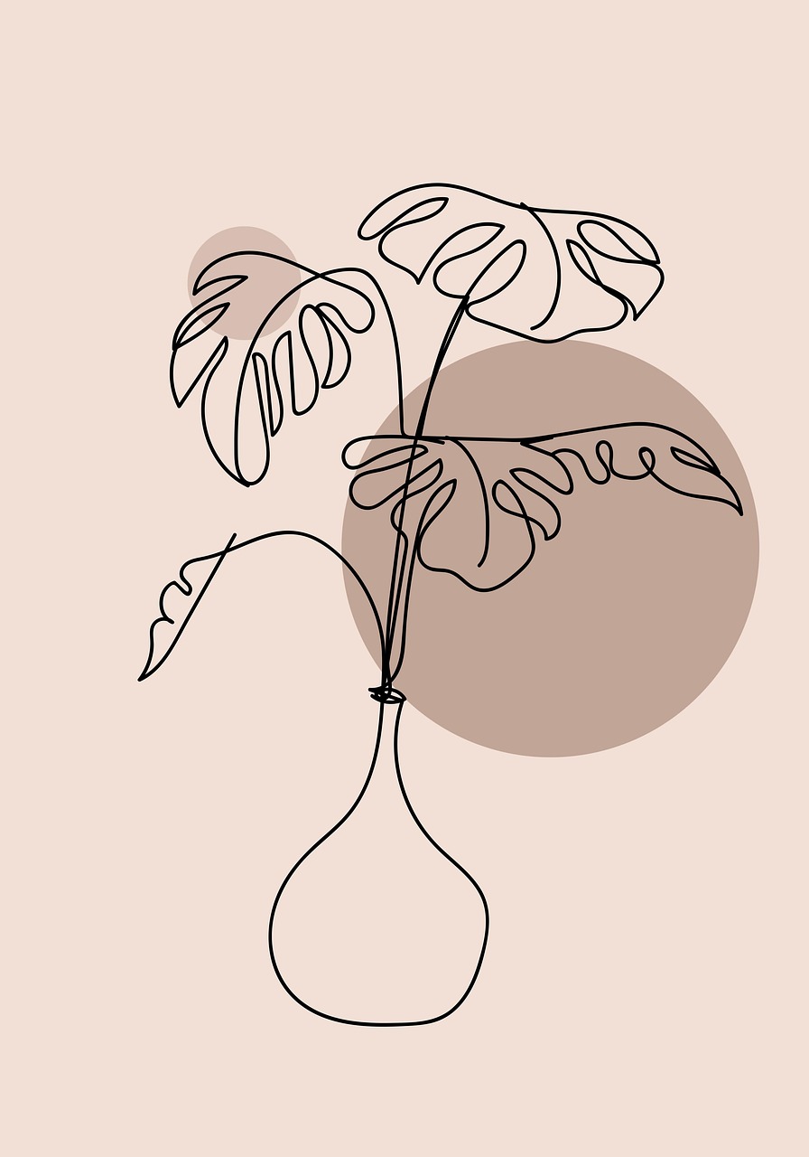 monstera deliciosa for sale Monstera deliciosa (6in+) 6in main image 1