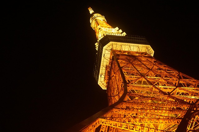 Free Tokyo Tower Light photo and picture