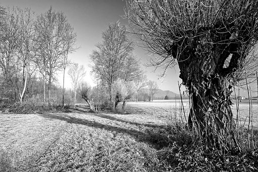 Land, Winter, Brina, Platteland, Seizoen