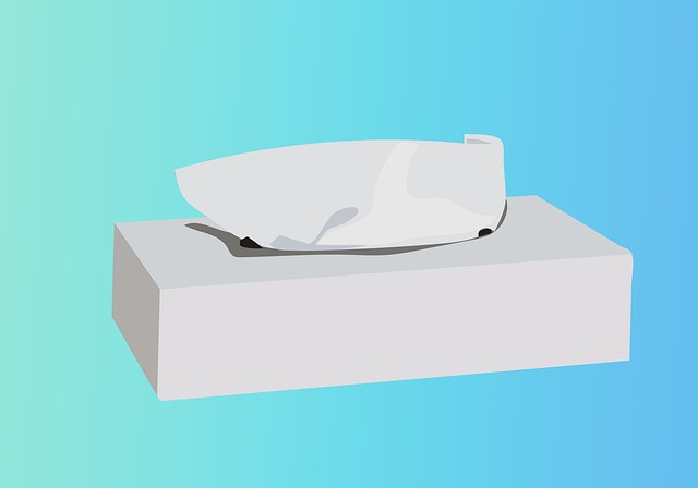 Download free HD stock image of Handkerchief Paper Free handkerchief paper tissue box illustration