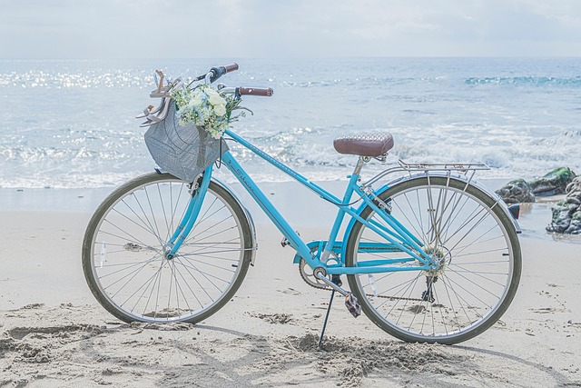 Bicicleta, Vintage, Ciclismo, Natureza