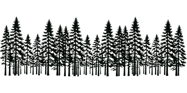 Free Trees Forest vector and picture