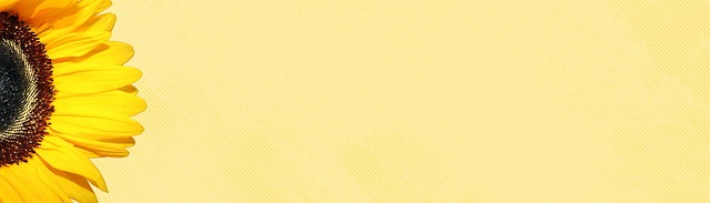 Free sunflower flower banner illustration