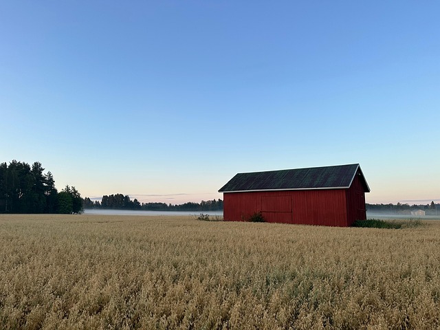 Free Country Haystack photo and picture