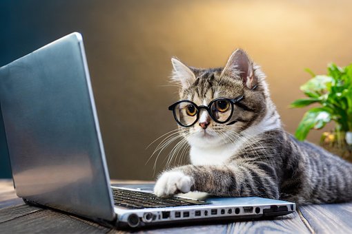 Free Ai Generated Cat illustration and picture