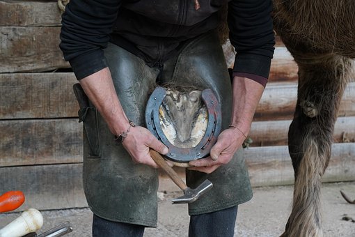 Paard, Huf, Hoefsmid, Hoefverzorging