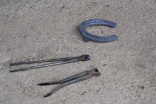 Paard, Huf, Hoefsmid, Hoefverzorging