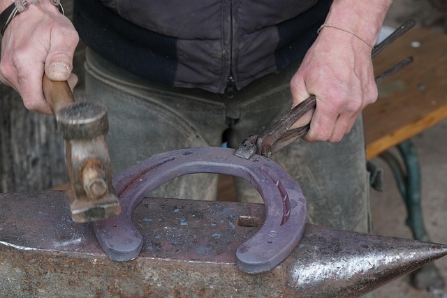 Lime Sabots équitation Kit De Soin Pour Sabots De Cheval - Outils De Maréchal-ferrant Professionnel - Cisailles, Limes, Coupe-sabot - Entretien équidé Trousse De Garniture Sabot Cheval
