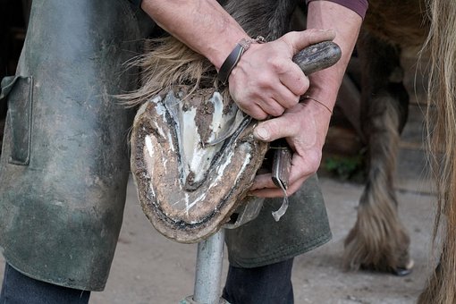 Paard, Huf, Hoefsmid, Hoefverzorging