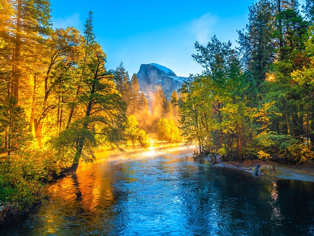 Free North America Nature photo and picture