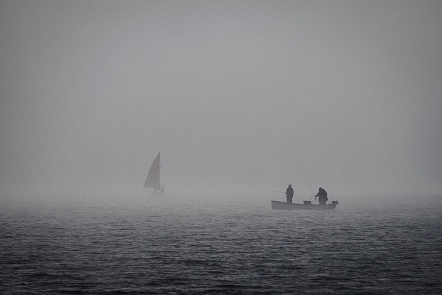 Free Lake Fog photo and picture