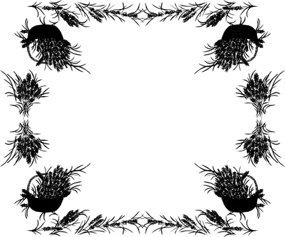 Levanduľa, Závod, Kvety, Hranica