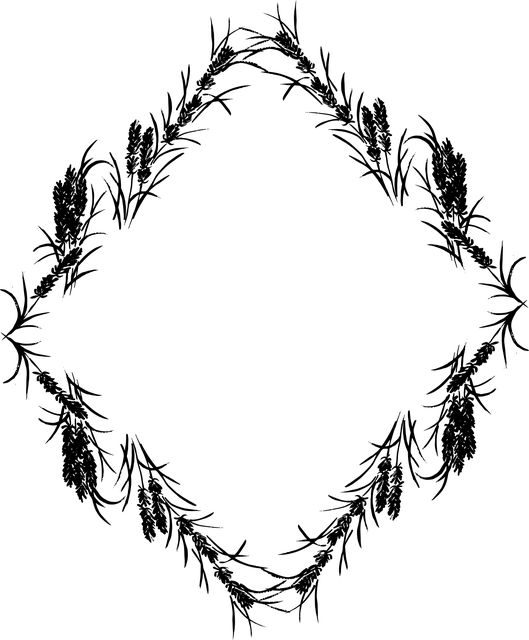Levanduľa, Závod, Kvety, Hranica