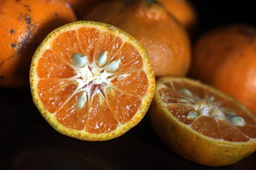 Free Orange Slice photo and picture