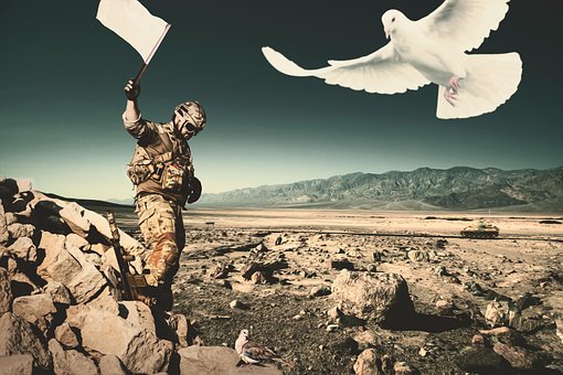 Free War Pigeons photo and picture
