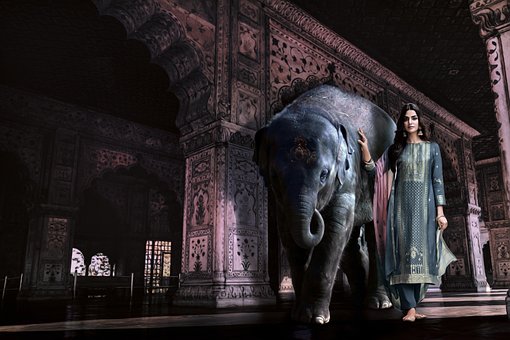 Free India Elephant photo and picture