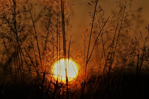 Free Sunset Sun photo and picture