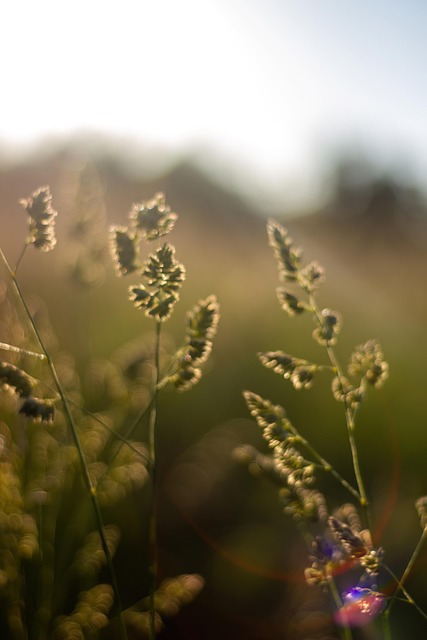 Free Abstract Phone Wallpaper photo and picture