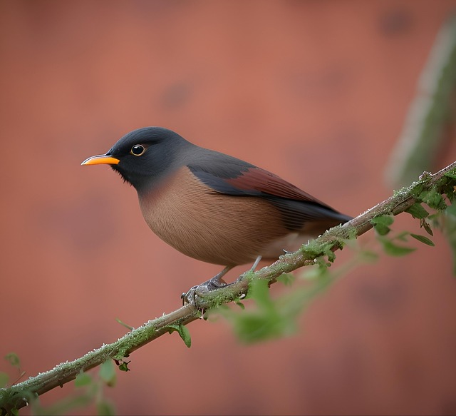 Download free HD stock image of Ai Generated Bird Free ai generated bird animal illustration