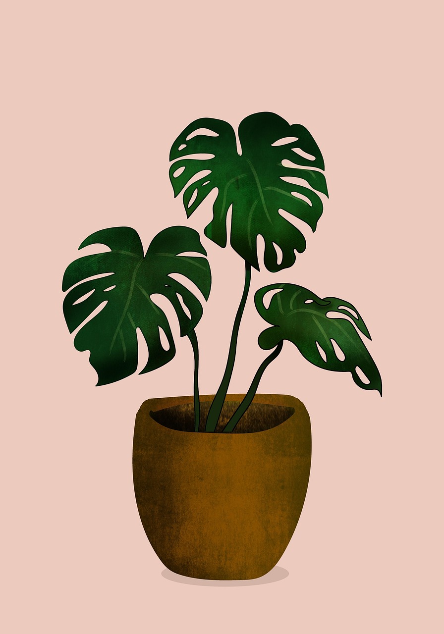 philodendron squamiferum care Philodendron squamiferum – MiceDirect main image 0