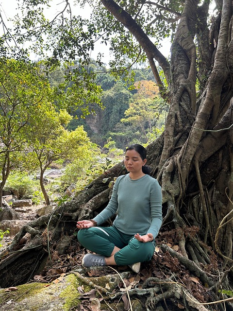 Free Meditation Yoga photo and picture