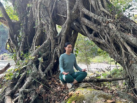 Free Meditation Yoga photo and picture