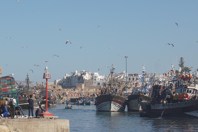 Free Essaouira Morocco photo and picture