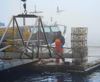 Free Fog Fisherman photo and picture