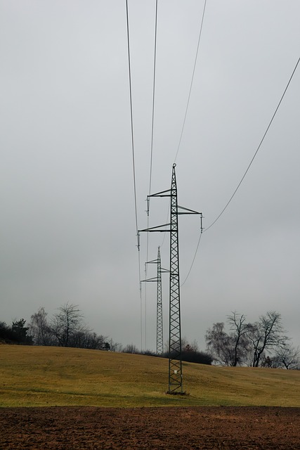 Free Physics Meadow photo and picture