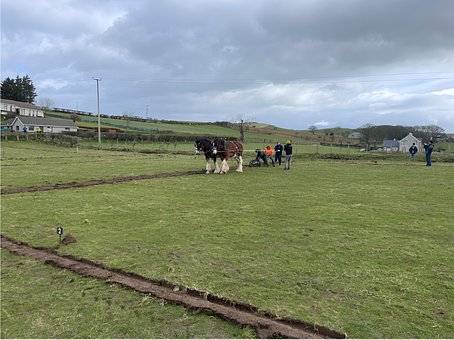 Free Ploughing Match Ploughing photo and picture